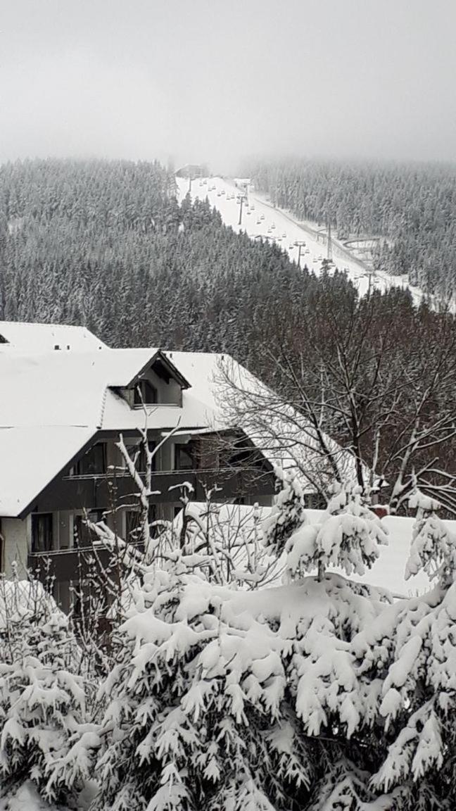 Ferienwohnung Steffens Hahnenklee Wohnung 25 جوسلار المظهر الخارجي الصورة