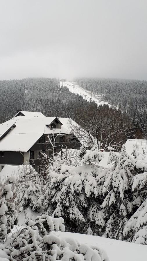 Ferienwohnung Steffens Hahnenklee Wohnung 25 جوسلار المظهر الخارجي الصورة