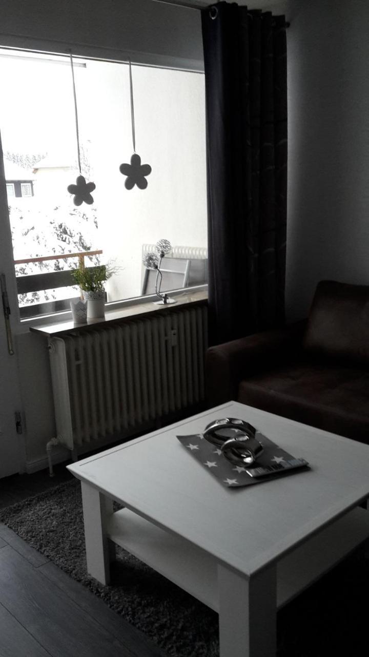 Ferienwohnung Steffens Hahnenklee Wohnung 25 جوسلار المظهر الخارجي الصورة