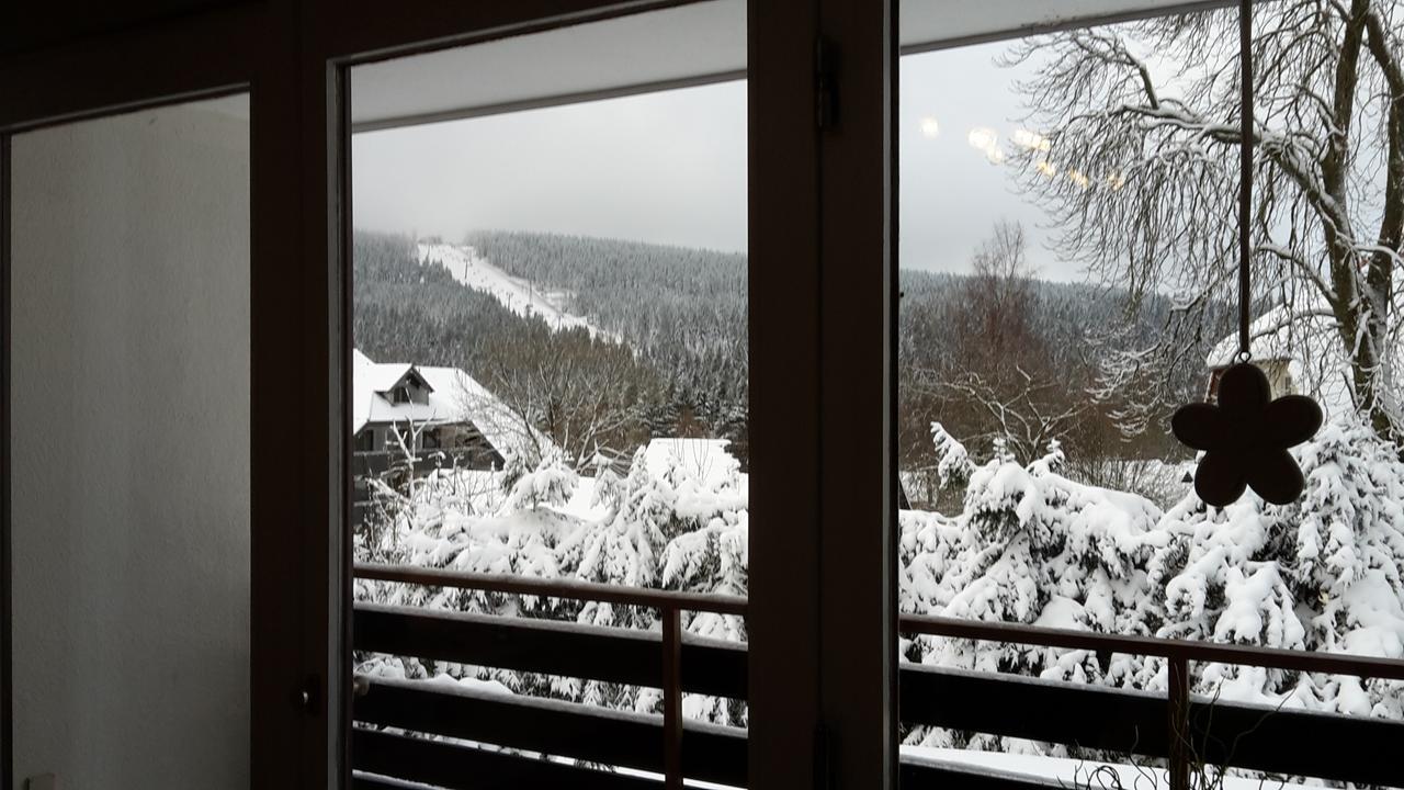 Ferienwohnung Steffens Hahnenklee Wohnung 25 جوسلار المظهر الخارجي الصورة